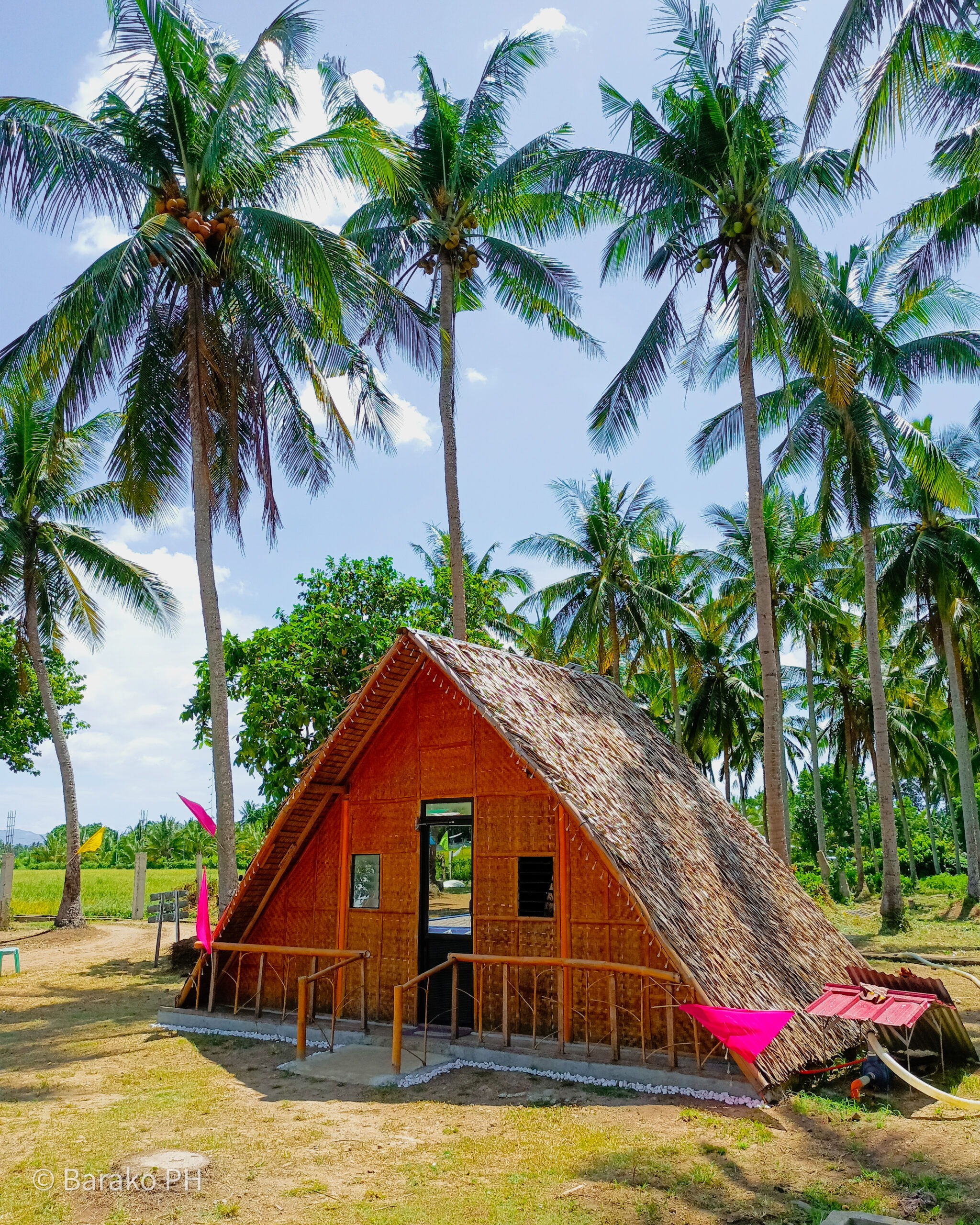 La Felisa Farm Resort